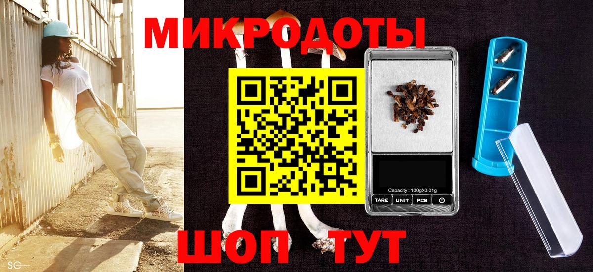 Псилоцибиновые грибы Psilocybine cubensis Борзя