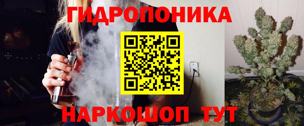 Каннабис планчик Борзя