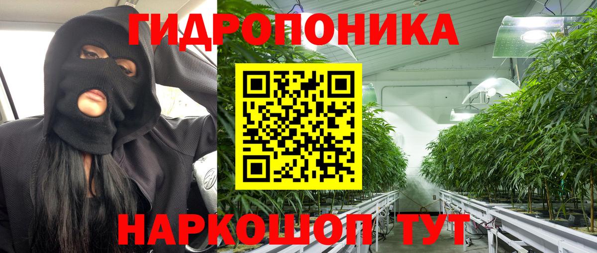 МАРИХУАНА семена  Шишки марихуана White Widow  Вход с VPN  Борзя  Канабис ГИДРОПОН 